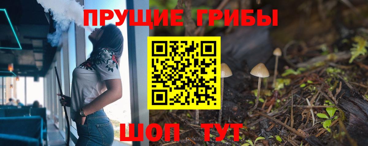 Псилоцибиновые грибы Psilocybe  Псилоцибиновые грибы Psilocybe  Вход с VPN  Бузулук 